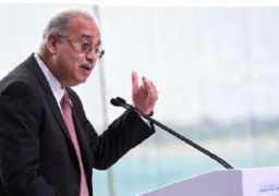 بدء جلسة المباحثات الثنائية بين رئيس الوزراء ونائبة رئيس جمهورية الأرجنتين