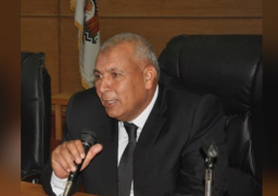 صندوق “تحيا مصر”يطرح 71 محلا تجاريا بالوادي الجديد