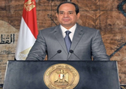 السيسى يصدر قرارا بإنشاء الأكاديمية الوطنية لتأهيل وتدريب الشباب