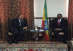 بالصور .. شكرى يؤكد لنظيره الاثيوبى ضرورة إتمام المسار الفنى الخاص بدراسات سد النهضة