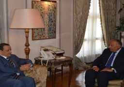 شكري يؤكد مساندة مصر لجهود الأمم المتحدة لتسوية الأزمة اليمنية