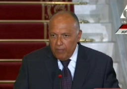 شكري: الدول الداعية لمكافحة الإرهاب اتفقت على استمرار التشاور