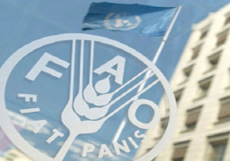 فاو: ارتفاع محصول القمح السوري في 2017