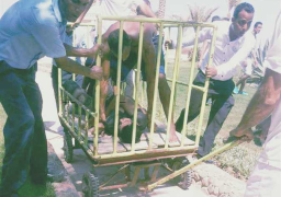 فرنسا تدين هجوم الغردقة وتشيد بالتدخل السريع للشرطة لتوقيف الجاني