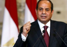 قرار جمهوري باستثناء شركة ألمانية من نسبة مشاركة المصريين في رأسمالها