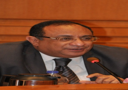 قرار جمهوري بتعيين ماجد نجم رئيسا لجامعة حلوان