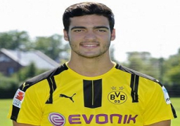 مرينو معاراً في نيوكاسل لموسم واحد