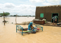 مصرع وإصابة 14 شخصا وانهيار 851 منزلا جراء السيول في السودان