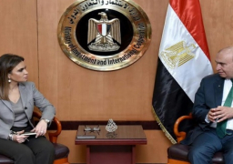 نصر تبحث مع مميش تنفيذ خطة ترويجية لدعم المشروعات الاستثمارية في محور تنمية قناة السويس