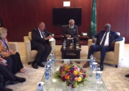 وزير الخارجية يبحث قضايا القارة مع رئيس المفوضية الإفريقية