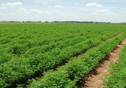 وزير الزراعة : نعمل على مراجعة كافة السياسات والتشريعات الزراعية