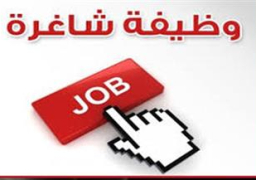 تعرف على 80 وظيفة يحتاجها “التنظيم والإدارة”| صور