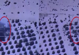 قوات إنفاذ القانون بالجيش الثانى الميدانى تواصل جهودها لتطهير البؤر الإرهابية بشمال سيناء