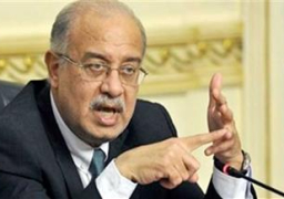 إسماعيل يلتقي وزراء الداخلية والسياحة والزراعة والأثار والصناعة والإسكان لمتابعة سير العمل بوزاراتهم