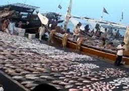 استمرار فرض رسم الصادر علي الاسماك لمدة عام