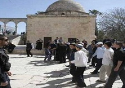 كاتب يهودي : إسرائيل مجتمع عنصري “نتن”