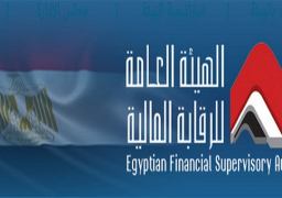 الرقابة المالية: لم نصدر تصاريح لإنشاء بورصة “البتكوين”