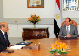 الرئيس السيسي يشيد بدور الهيئة العربية للتصنيع باعتبارها مؤسسة اقتصادية وطنية