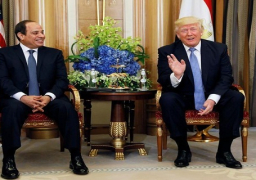 السيسي يؤكد أهمية استمرار التنسيق والتشاور بين مصر والولايات المتحدة