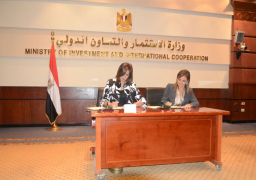 تفعيل خدمات الشباك الموحد للمصريين فى الخارج