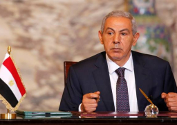 5 مليارات دولار حجم التجارة بين مصر والصين