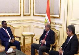 إسماعيل يستقبل رئيس منظمة الإيكاو بحضور وزير الطيران المدني