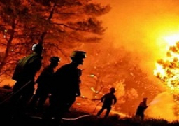 رجال الإطفاء يكافحون حرائق الغابات قرب أثينا لليوم الثالث