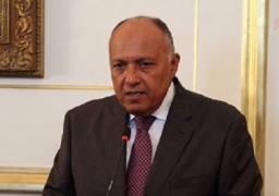 سامح شكرى يسلم رسالة من السيسى لرئيسة ليتوانيا فى إطار جولته الأوروبية