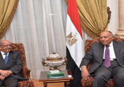 شكري ومساهل: الحل السياسي هو الوحيد للأزمة في ليبيا