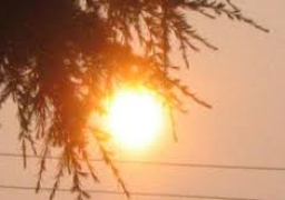 الأرصاد : طقس اليوم مائل للحرارة رطب نهارا لطيف ليلا .. والعظمى بالقاهرة 34