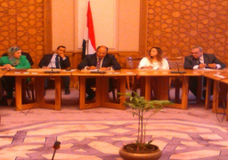 مبادرة مصرية بمجلس الأمن لمنع حصول الإرهابيين على السلاح