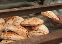 التموين تبدأ اليوم تطبيق منظومة الخبز الجديدة .. وبقاء حصة المواطن كما هى دون تغيير