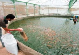 “الزراعة” تؤكد دعم الحكومة لتطوير جودة المزارع السمكية