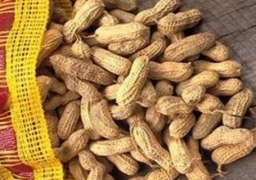 100 % ارتفاعا بصادرات الفول السوداني و84% بالثوم