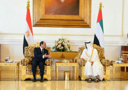 السيسي يبحث مع محمد بن زايد جهود مكافحة الإرهاب والتطرف