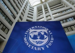 النقد الدولي يشيد بالتزام “المركزي” بسعر صرف حر بعد التعويم