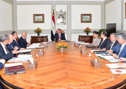 السيسي يجتمع مع مجلس الوزراء ومحافظ البنك المركزى
