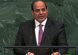 السيسي يشارك اليوم فى قمة مجلس الأمن