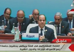 السيسي يشارك في جلسة الحوار مع الأسواق البازغة والدول النامية