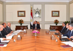 السيسي يوجه الوزارات والجهات المعنية بتنفيذ ما تم توقيعه من اتفاقيات خلال زيارتة الصين وفيتنام