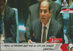 السيسي:مصر من اوائل الدول المشاركة في قوات حفظ السلام