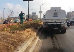 تشجير الجزيرة الوسطى بالاتوستراد بمنشأة ناصر