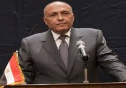 شكرى يحضر فعاليات انتخاب مصر لرئاسة مجموعة الـ77