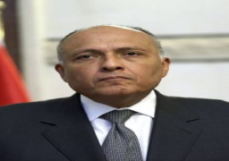 شكرى يطالب بموقف دولي ضد من يقف وراء التطرف والإرهاب