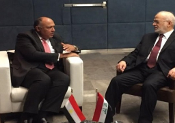 شكري يؤكد لنظيره العراقي حرص مصر على وحدة واستقرار العراق