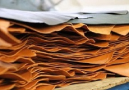 مصر والصين تبحثان تعزيز التعاون في مجال الصناعات الجلدية