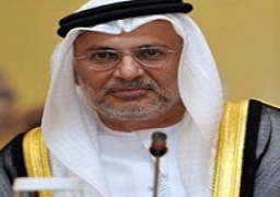 قرقاش: المطالب الـ13 أساس حل الأزمة مع قطر