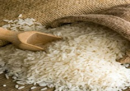 1.6 % تراجعا في إنتاج الحبوب في مصر