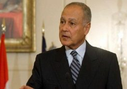 أبوالغيط: إعادة ترسيم الحدود تهديد خطير للدولة الوطنية