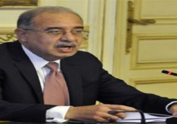 اسماعيل يتابع تداعيات حريق مخزن للبويات بالعجمي